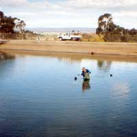Rosedale Emergency Basin